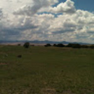 Meet your Posher, Angie